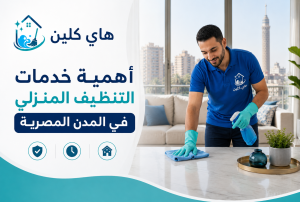أهمية خدمات التنظيف المنزلي في المدن المصرية